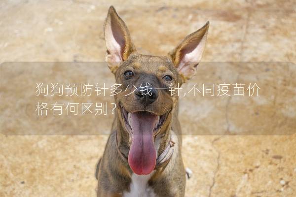 狗狗预防针多少钱一针,不同疫苗价格有何区别？
