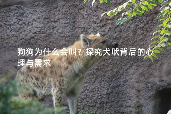 狗狗为什么会叫？探究犬吠背后的心理与需求