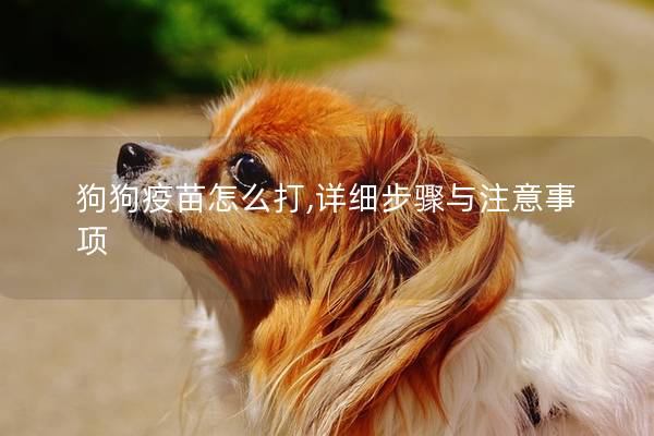 狗狗疫苗怎么打,详细步骤与注意事项