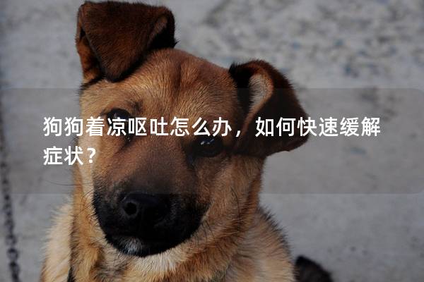 狗狗着凉呕吐怎么办，如何快速缓解症状？