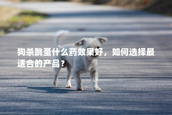 狗杀跳蚤什么药效果好，如何选择最适合的产品？