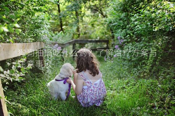 狗狗抽搐吃什么药？了解治疗方案与注意事项