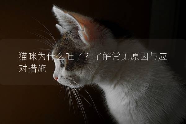 猫咪为什么吐了？了解常见原因与应对措施