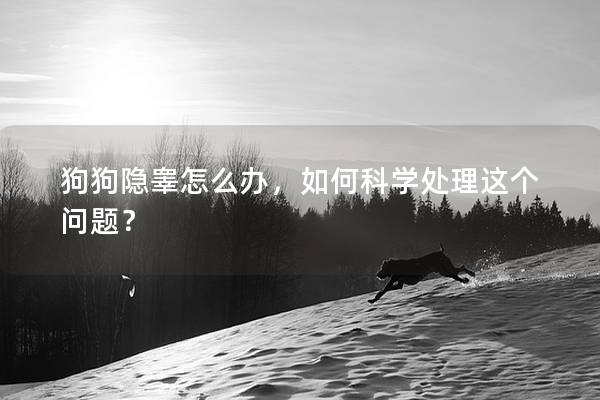 狗狗隐睾怎么办，如何科学处理这个问题？