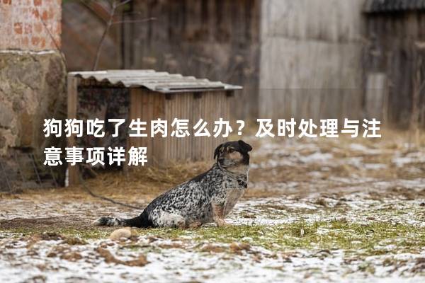 狗狗吃了生肉怎么办？及时处理与注意事项详解