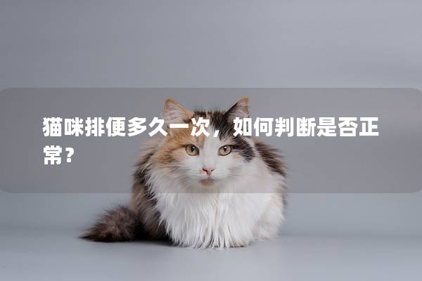 猫咪排便多久一次，如何判断是否正常？
