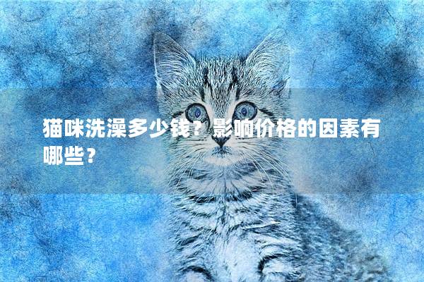 猫咪洗澡多少钱？影响价格的因素有哪些？