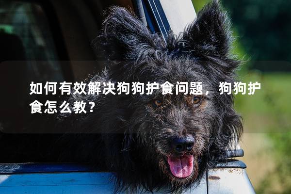 如何有效解决狗狗护食问题，狗狗护食怎么教？