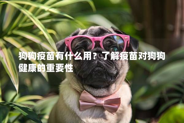 狗狗疫苗有什么用？了解疫苗对狗狗健康的重要性