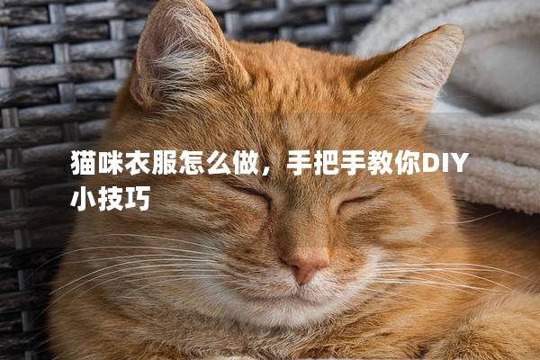 猫咪衣服怎么做，手把手教你DIY小技巧