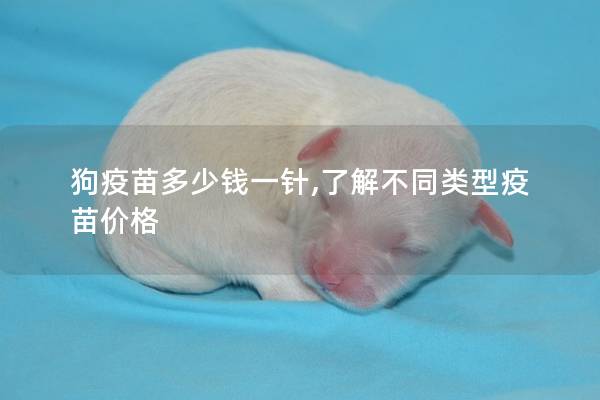 狗疫苗多少钱一针,了解不同类型疫苗价格