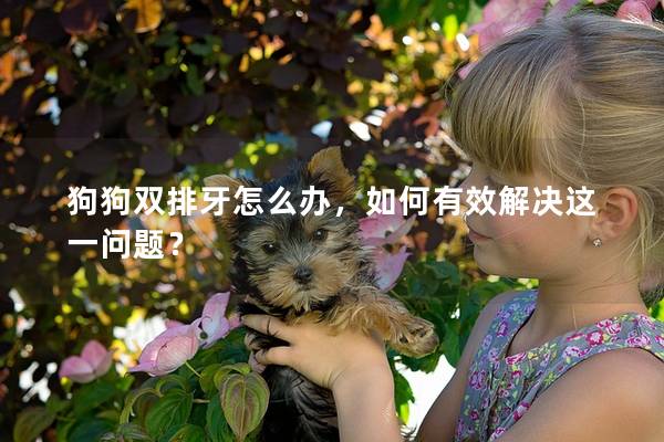 狗狗双排牙怎么办，如何有效解决这一问题？