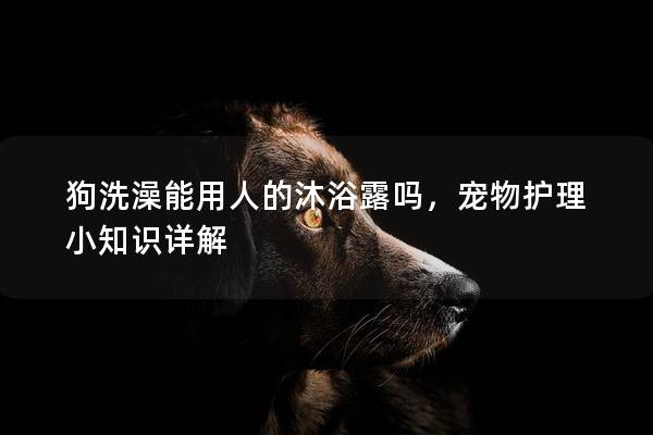 狗洗澡能用人的沐浴露吗，宠物护理小知识详解