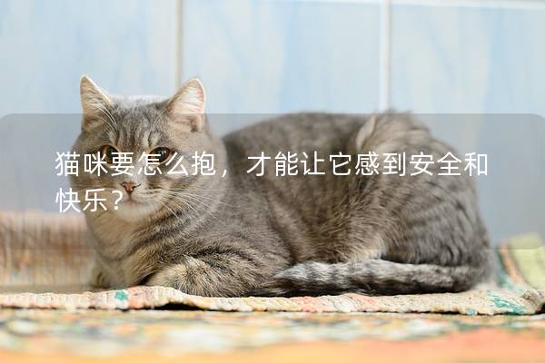 猫咪要怎么抱，才能让它感到安全和快乐？