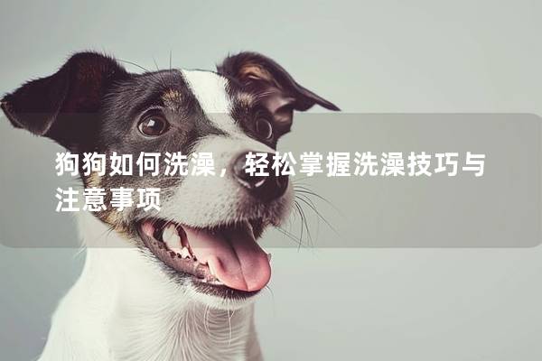 狗狗如何洗澡，轻松掌握洗澡技巧与注意事项