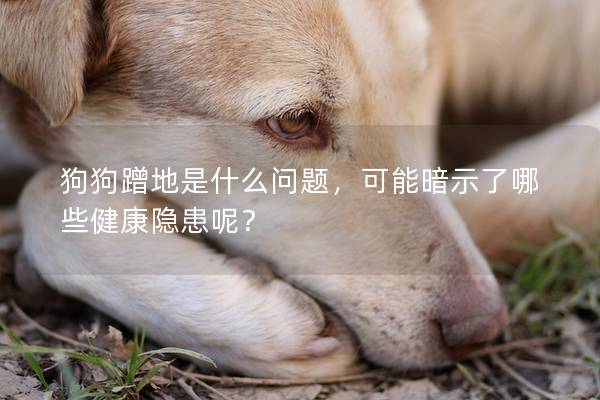 狗狗蹭地是什么问题，可能暗示了哪些健康隐患呢？