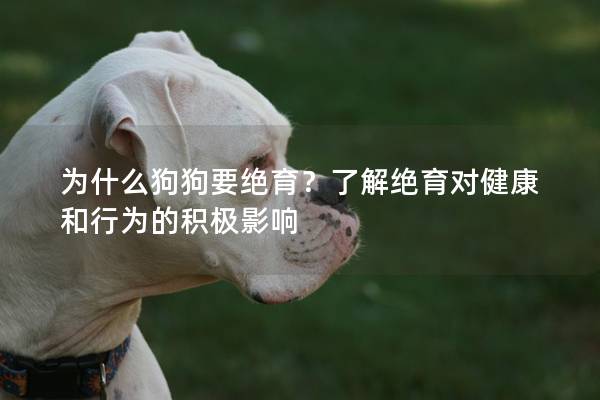 为什么狗狗要绝育？了解绝育对健康和行为的积极影响