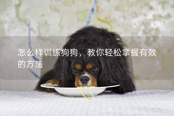 怎么样训练狗狗，教你轻松掌握有效的方法