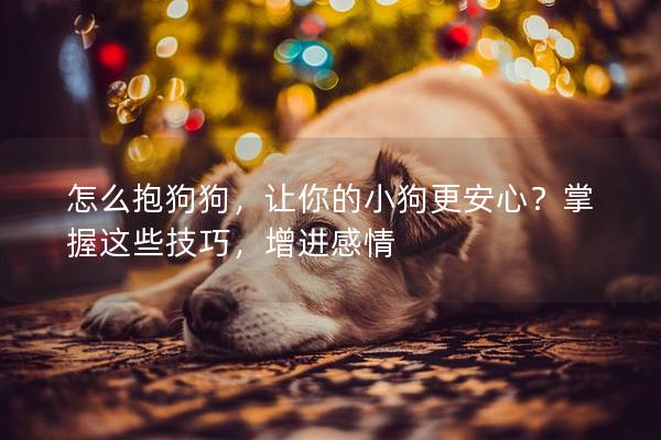 怎么抱狗狗，让你的小狗更安心？掌握这些技巧，增进感情