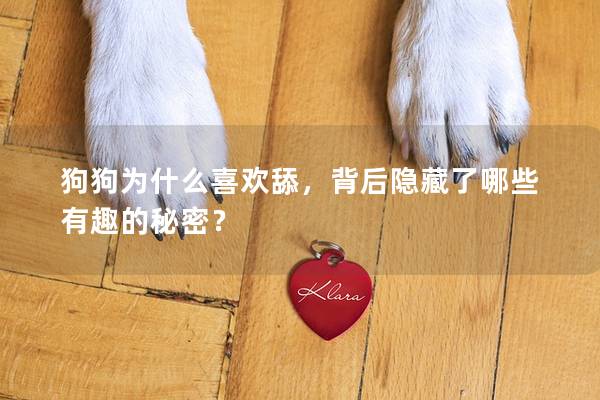 狗狗为什么喜欢舔，背后隐藏了哪些有趣的秘密？