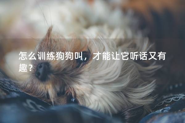 怎么训练狗狗叫，才能让它听话又有趣？