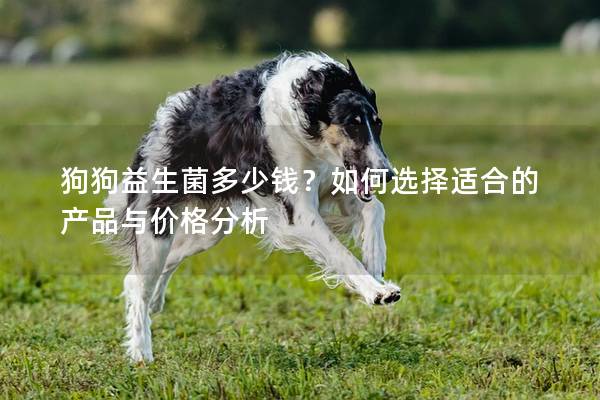 狗狗益生菌多少钱？如何选择适合的产品与价格分析
