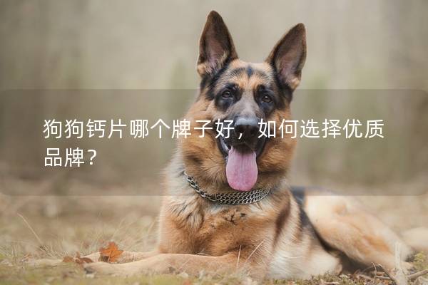 狗狗钙片哪个牌子好，如何选择优质品牌？