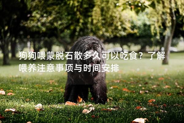 狗狗喂蒙脱石散多久可以吃食？了解喂养注意事项与时间安排