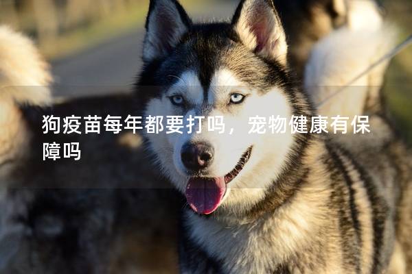 狗疫苗每年都要打吗，宠物健康有保障吗
