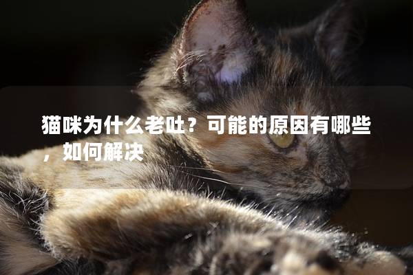 猫咪为什么老吐？可能的原因有哪些，如何解决