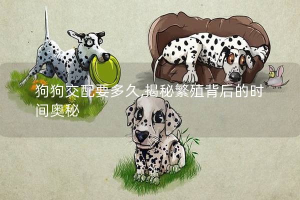 狗狗交配要多久,揭秘繁殖背后的时间奥秘