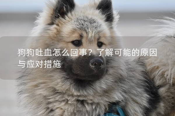 狗狗吐血怎么回事？了解可能的原因与应对措施