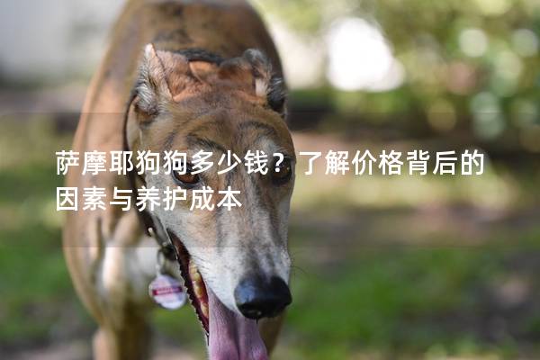 萨摩耶狗狗多少钱？了解价格背后的因素与养护成本