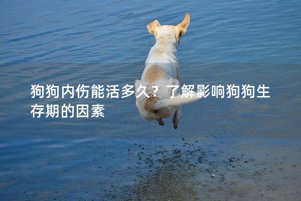 狗狗内伤能活多久？了解影响狗狗生存期的因素