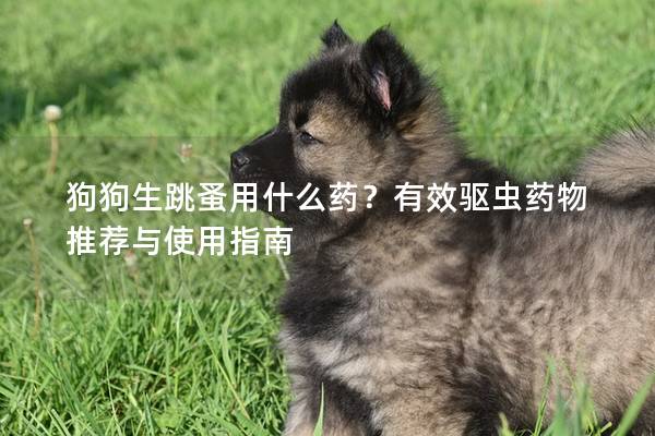 狗狗生跳蚤用什么药？有效驱虫药物推荐与使用指南