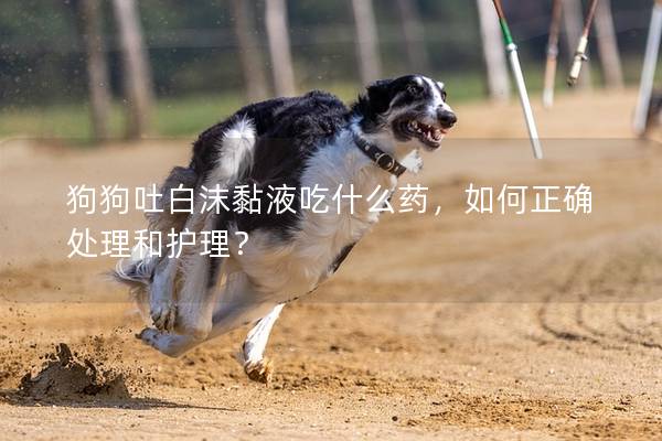 狗狗吐白沫黏液吃什么药，如何正确处理和护理？
