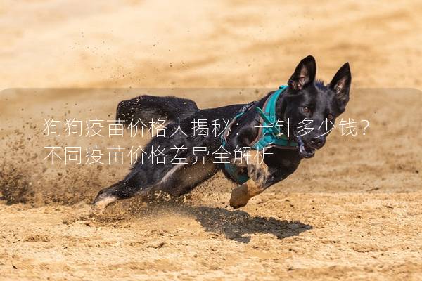 狗狗疫苗价格大揭秘：一针多少钱？不同疫苗价格差异全解析