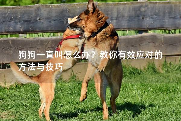 狗狗一直叫怎么办？教你有效应对的方法与技巧