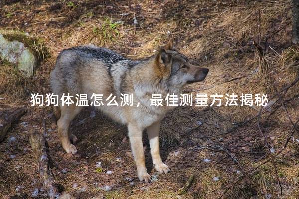 狗狗体温怎么测，最佳测量方法揭秘
