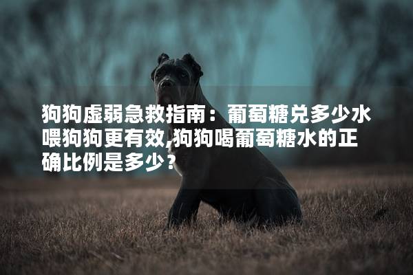 狗狗虚弱急救指南：葡萄糖兑多少水喂狗狗更有效,狗狗喝葡萄糖水的正确比例是多少？