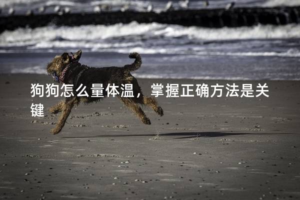 狗狗怎么量体温，掌握正确方法是关键