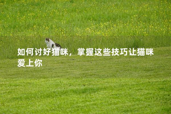 如何讨好猫咪，掌握这些技巧让猫咪爱上你