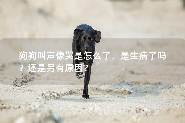 狗狗叫声像哭是怎么了，是生病了吗？还是另有原因？
