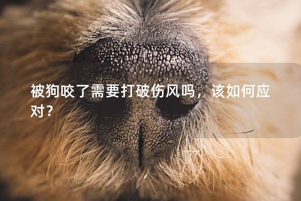 被狗咬了需要打破伤风吗，该如何应对？