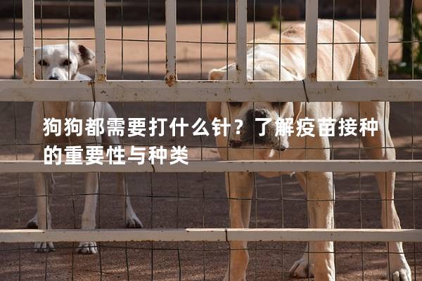 狗狗都需要打什么针？了解疫苗接种的重要性与种类