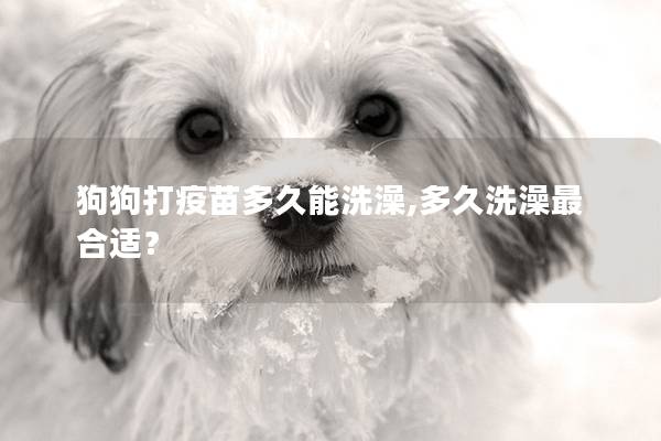 狗狗打疫苗多久能洗澡,多久洗澡最合适? 狗狗打疫苗多久能洗澡,多久洗澡最合适?
