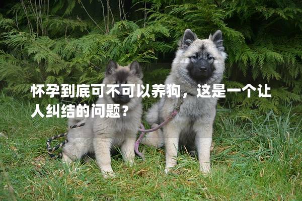 怀孕到底可不可以养狗，这是一个让人纠结的问题？