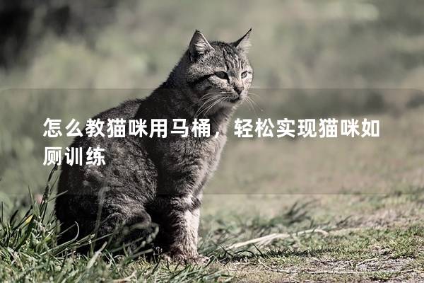 怎么教猫咪用马桶，轻松实现猫咪如厕训练