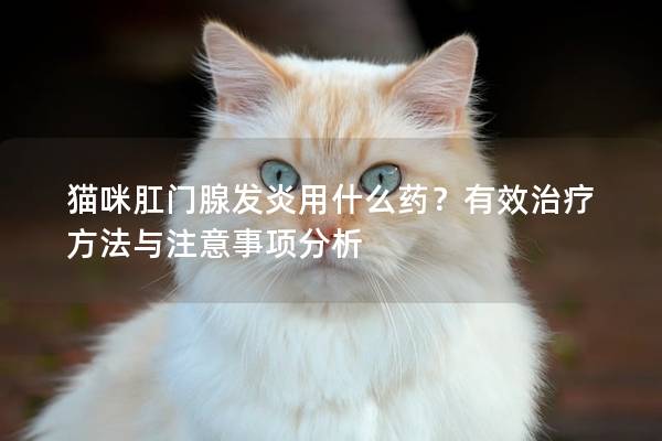 猫咪肛门腺发炎用什么药？有效治疗方法与注意事项分析