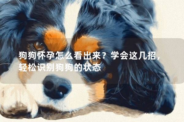 狗<a href=